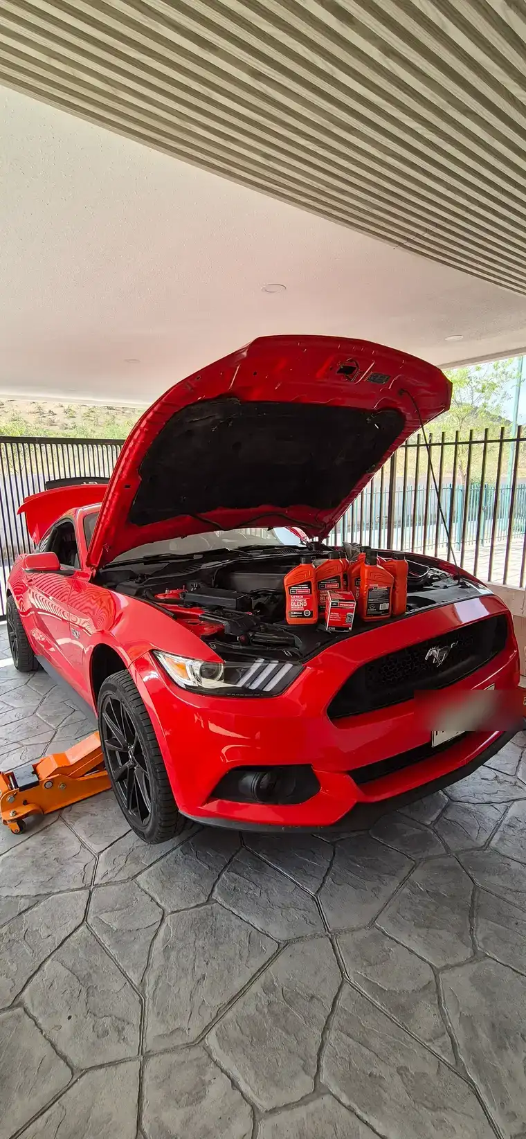 Mantención de Ford Mustang GT a domicilio